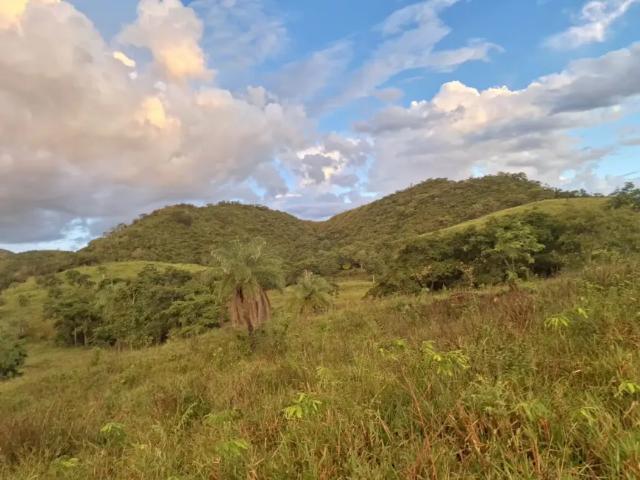 Fazenda venda em Região Geográfica Imediata do Distrito Federal, Região Integrada de Desenvolvimento do Distrito Federal e Entorno