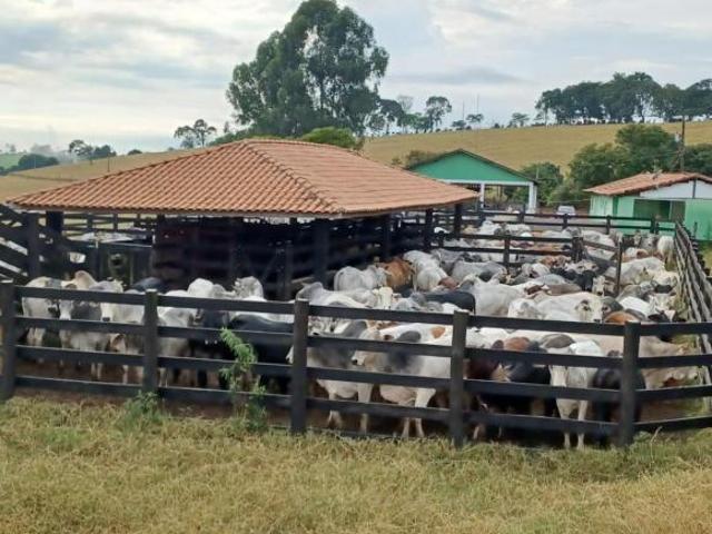 Sítio e chácara venda em Região Geográfica Imediata de São Lourenço, Carmo de Minas