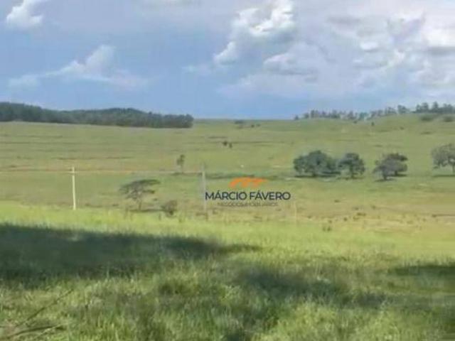 Sítio e chácara venda em Região Imediata de Bauru, Presidente Alves