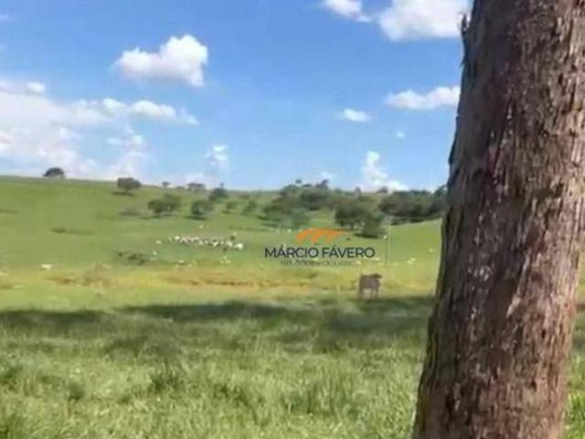Sítio e chácara venda em Região Imediata de Bauru, Presidente Alves