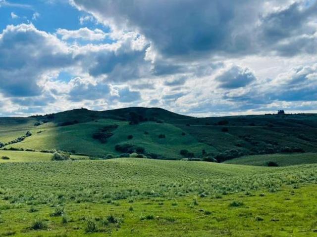 Sítio e chácara venda em Região Geográfica Imediata de Bagé, Bagé