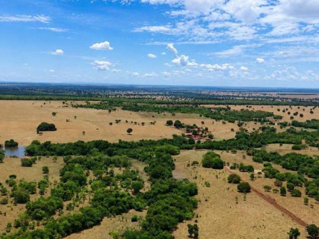 Sítio e chácara venda em Região Geográfica Imediata de Inhumas - Itaberaí - Anicuns, Inhumas