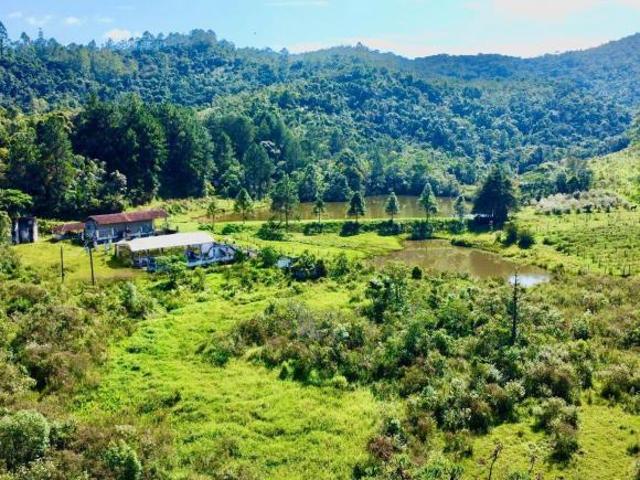 Sítio e chácara venda em Região Imediata de Bragança Paulista, Joanópolis