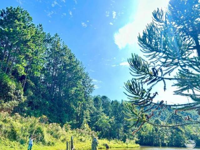Sítio e chácara venda em Região Imediata de Bragança Paulista, Joanópolis