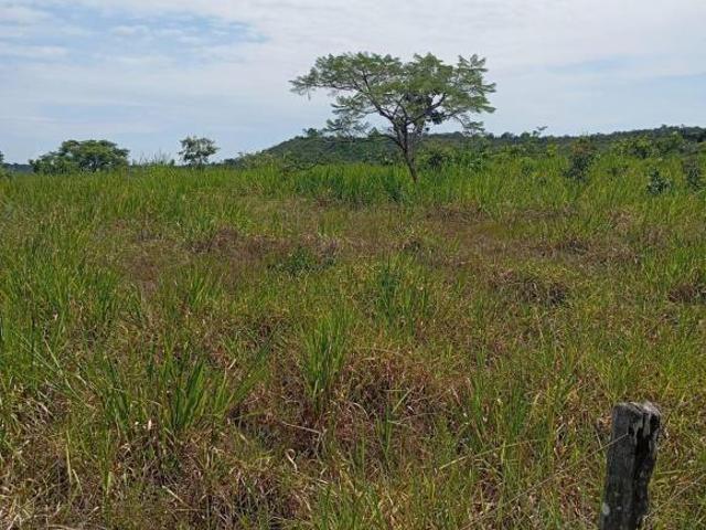 Sítio e chácara venda em Região Geográfica Imediata de Rondonópolis, Alto Garças