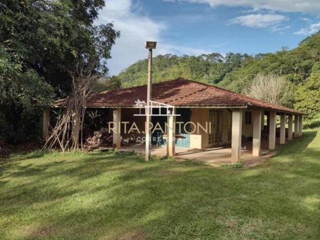 Sítio e chácara venda em Região Imediata de Ribeirão Preto, Região Metropolitana de Ribeirão Preto