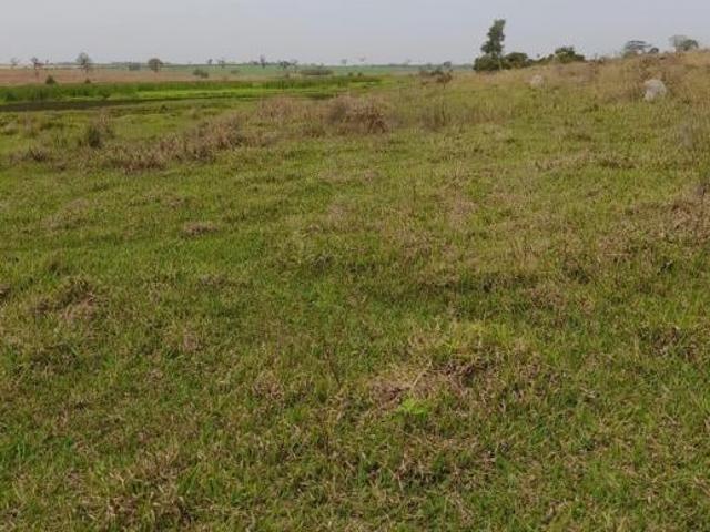 Sítio e chácara venda em Região Imediata de Fernandópolis, Fernandópolis