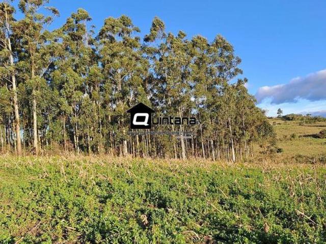 Sítio e chácara venda em Região Geográfica Imediata de Pelotas, Canguçu