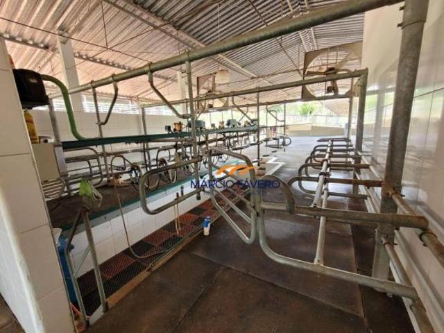 Sítio e chácara venda em Região Imediata de Itapetininga, Região Metropolitana de Sorocaba