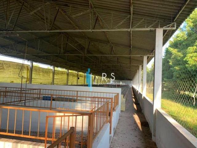 Sítio e chácara venda em Região Imediata de Itapetininga, Região Metropolitana de Sorocaba