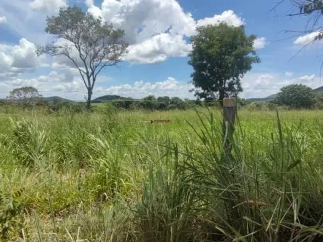 Fazenda venda em Região Geográfica Imediata de Ceres - Rialma - Goianésia, Barro Alto