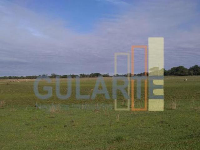 Sítio e chácara venda em Região Geográfica Imediata de Pelotas, Aglomeração Urbana do Sul