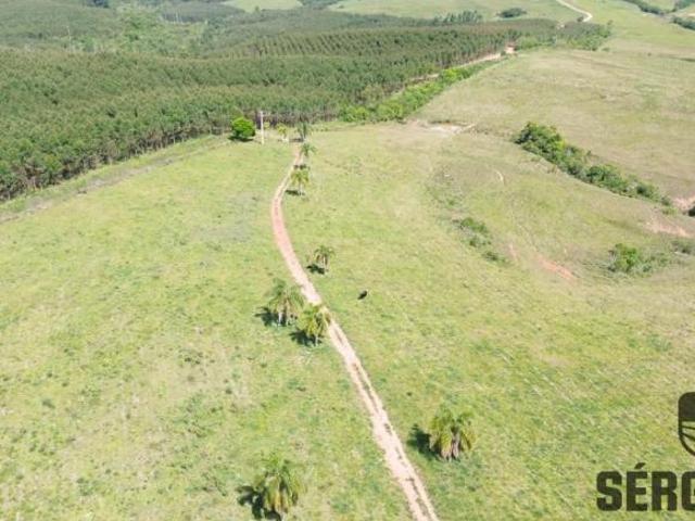 Sítio e chácara venda em Região Geográfica Imediata de Porto Alegre, Região Metropolitana de Porto Alegre