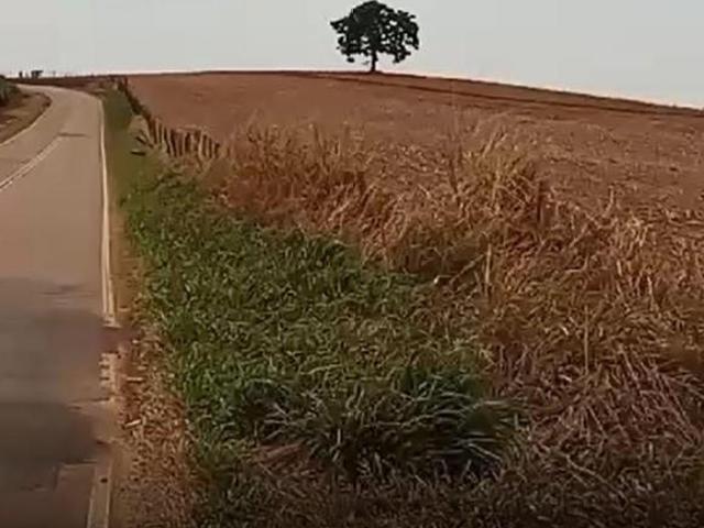 Sítio e chácara venda em Região Geográfica Imediata de Alfenas, Divisa Nova