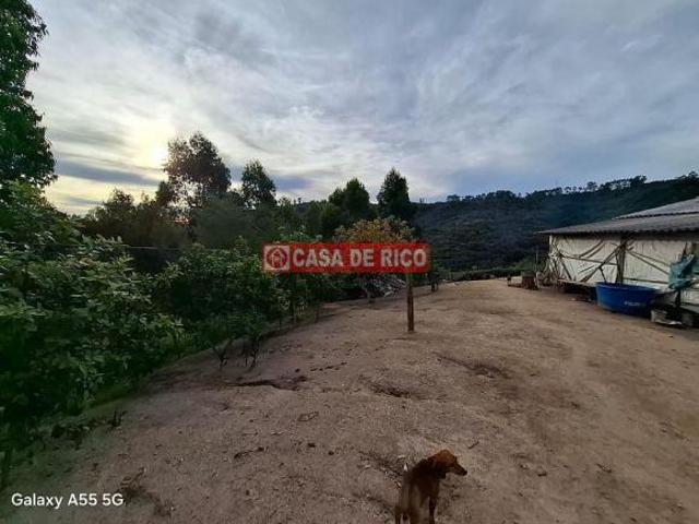 Sítio e chácara venda em Região Geográfica Imediata de Cornélio Procópio-Bandeirantes, São Jerônimo da Serra