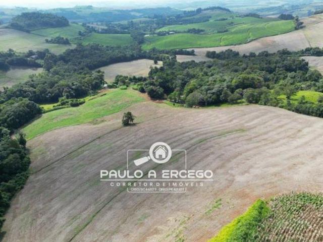 Sítio e chácara venda em Região Geográfica Imediata de Francisco Beltrão, Marmeleiro