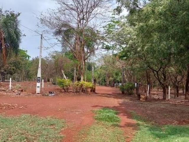 Sítio e chácara venda em Região Imediata de Fernandópolis, Indiaporã