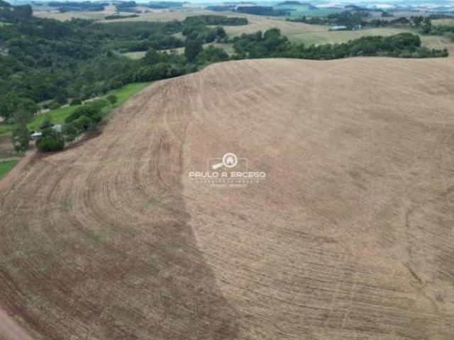 Sítio e chácara venda em Região Geográfica Imediata de Francisco Beltrão, Renascença