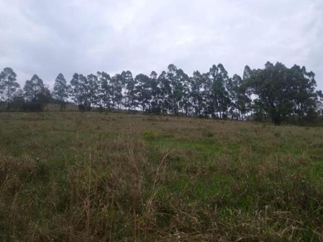 Sítio e chácara venda em Região Geográfica Imediata de Oliveira, Oliveira