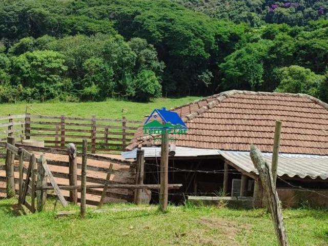 Sítio e chácara venda em Região Geográfica Imediata de Caxambu - Baependi, Aiuruoca
