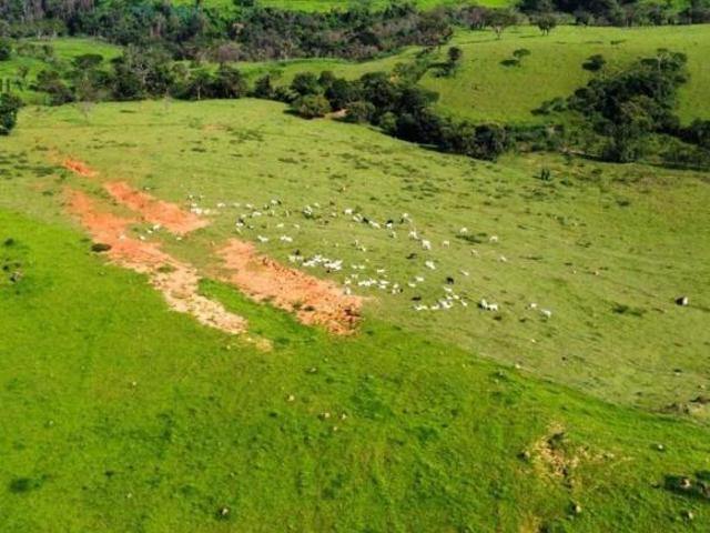 Sítio e chácara venda em Região Imediata de Mogi Guaçu, Itapira