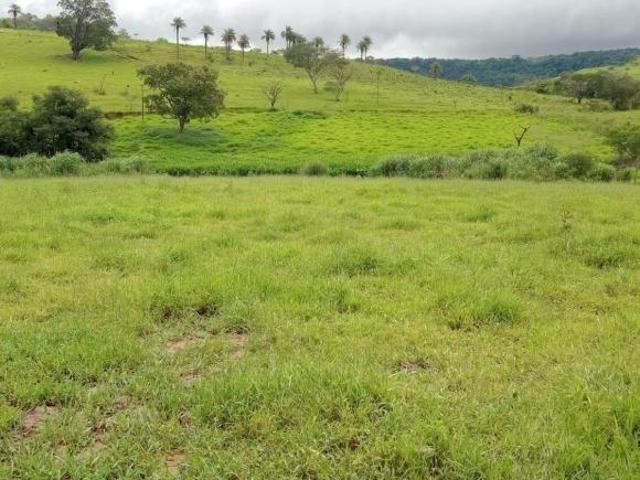 Sítio e chácara venda em Região Imediata de São Carlos, São Carlos