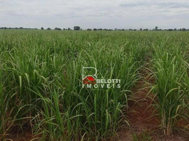 Sítio e chácara venda em Região Imediata de Dracena, Panorama