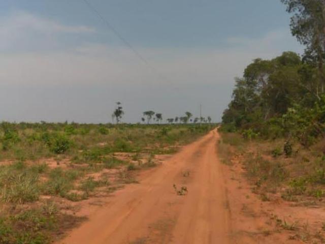 Sítio e chácara venda em Região Geográfica Imediata de Sorriso, Nova Ubiratã
