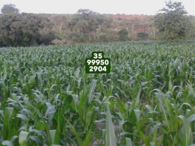 Sítio e chácara venda em Região Geográfica Imediata de Pirapora, Santa Fé de Minas