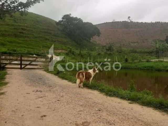 Sítio e chácara venda em Região Imediata de Itapeva, Itapeva