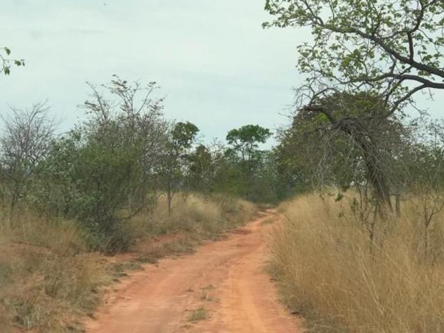 Sítio e chácara venda em Região Geográfica Imediata de Pirapora, Várzea da Palma