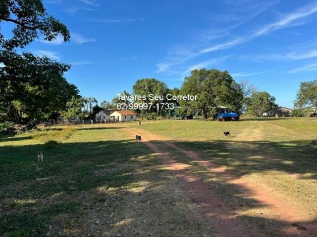Sítio e chácara venda em Região Geográfica Imediata de Posse-Campos Belos, Monte Alegre de Goiás