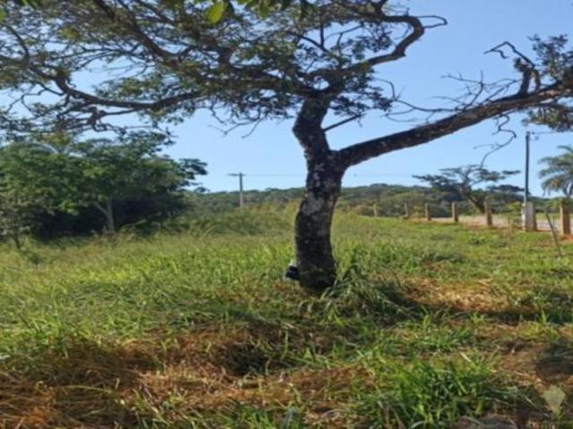 Sítio e chácara venda em Região Geográfica Imediata de Sete Lagoas, Sete Lagoas