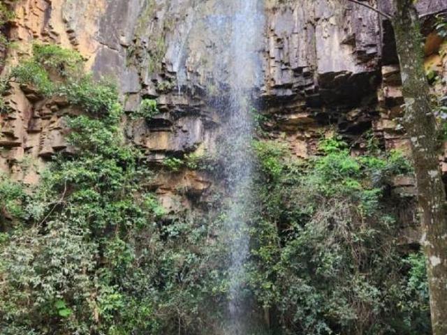 Sítio e chácara venda em Região Geográfica Imediata de Passos, Guapé