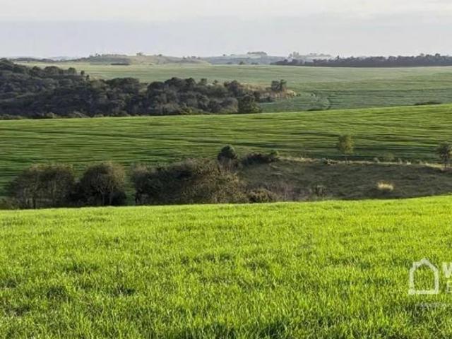 Sítio e chácara venda em Região Geográfica Imediata de Cornélio Procópio-Bandeirantes, Nova Fátima