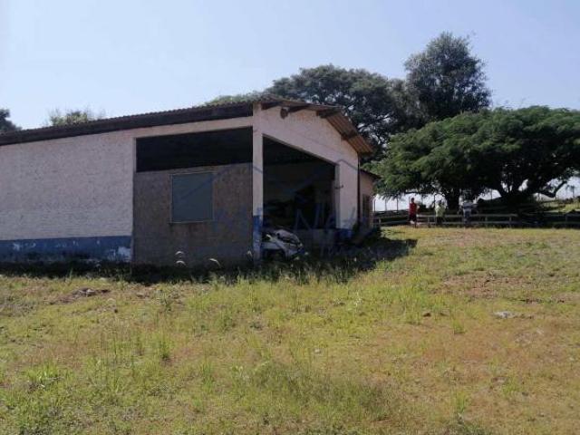 Sítio e chácara venda em Região Imediata de São Carlos, Região Metropolitana de Piracicaba