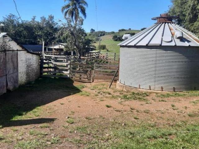 Sítio e chácara venda em Região Geográfica Imediata de São Gabriel - Caçapava do Sul, Santana da Boa Vista