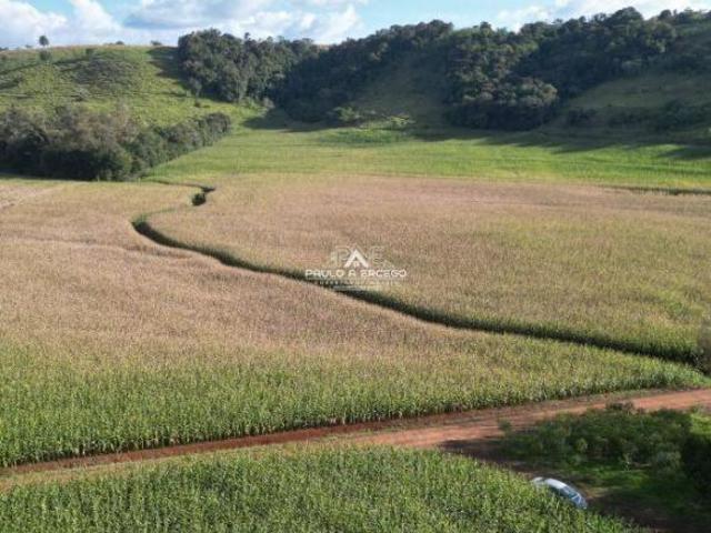 Sítio e chácara venda em Região Geográfica Imediata de Francisco Beltrão, Ampére