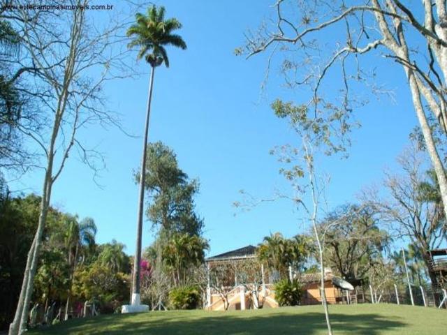 Sítio e chácara venda em Região Imediata de Amparo, Monte Alegre do Sul