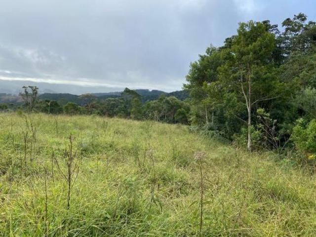 Sítio e chácara venda em Região Imediata de Itapeva, Ribeirão Branco