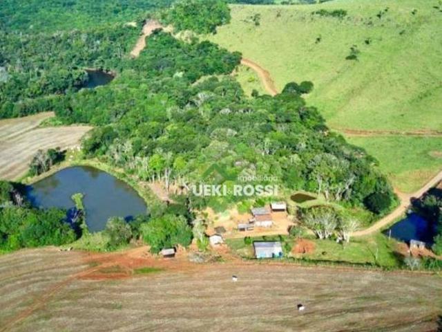Sítio e chácara venda em Região Geográfica Imediata de Pitanga, Santa Maria do Oeste
