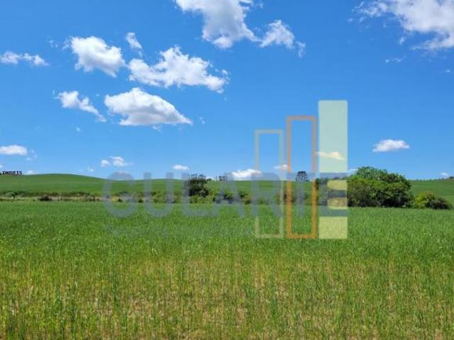 Sítio e chácara venda em Região Geográfica Imediata de Santa Cruz do Sul, Encruzilhada do Sul