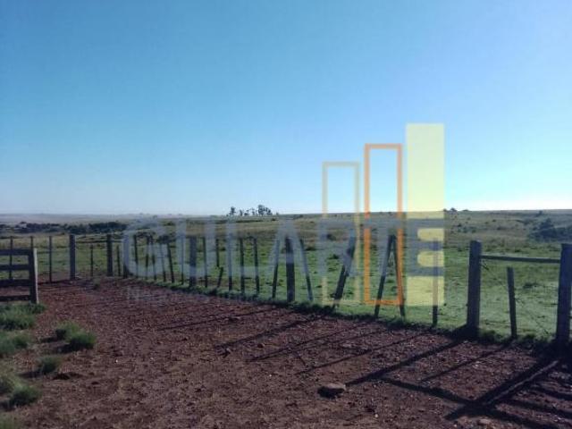 Sítio e chácara venda em Região Geográfica Imediata de Santana do Livramento, Santana do Livramento