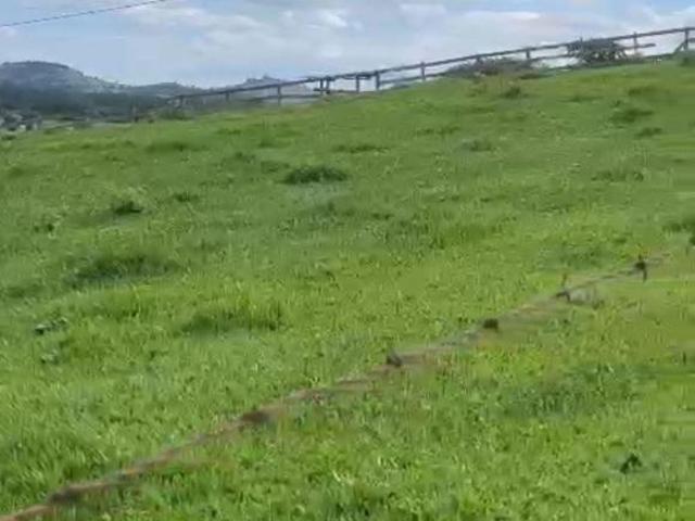 Sítio e chácara venda em Região Geográfica Imediata de Pouso Alegre, Pouso Alegre