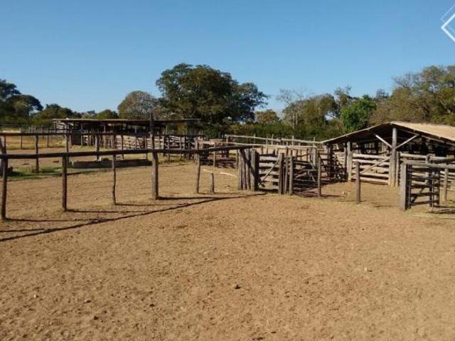 Sítio e chácara venda em Região Geográfica Imediata de Patos de Minas, João Pinheiro