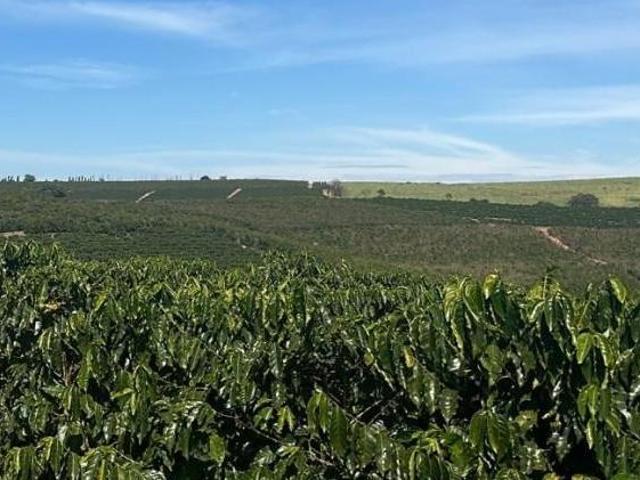 Sítio e chácara venda em Região Geográfica Imediata de Alfenas, Divisa Nova