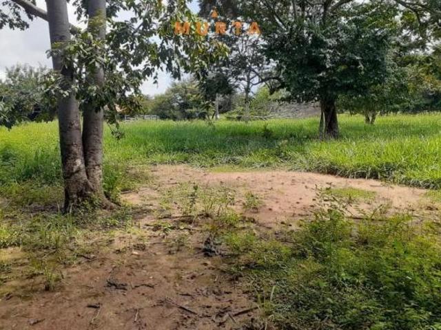 Sítio e chácara venda em Região Geográfica Imediata de Curvelo, Santo Hipólito