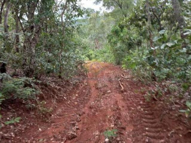 Sítio e chácara venda em Região Geográfica Imediata de Campo Grande, São Gabriel do Oeste