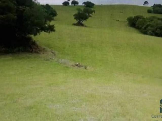 Sítio e chácara venda em Região Geográfica Imediata de São Gabriel - Caçapava do Sul, Santana da Boa Vista