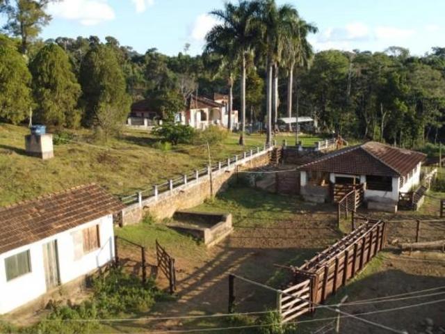 Sítio e chácara venda em Região Geográfica Imediata de Oliveira, São Francisco de Paula